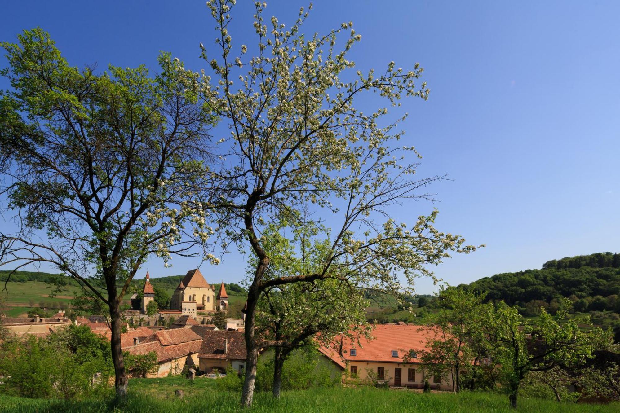 Unglerus Guesthouse Biertan Exterior photo